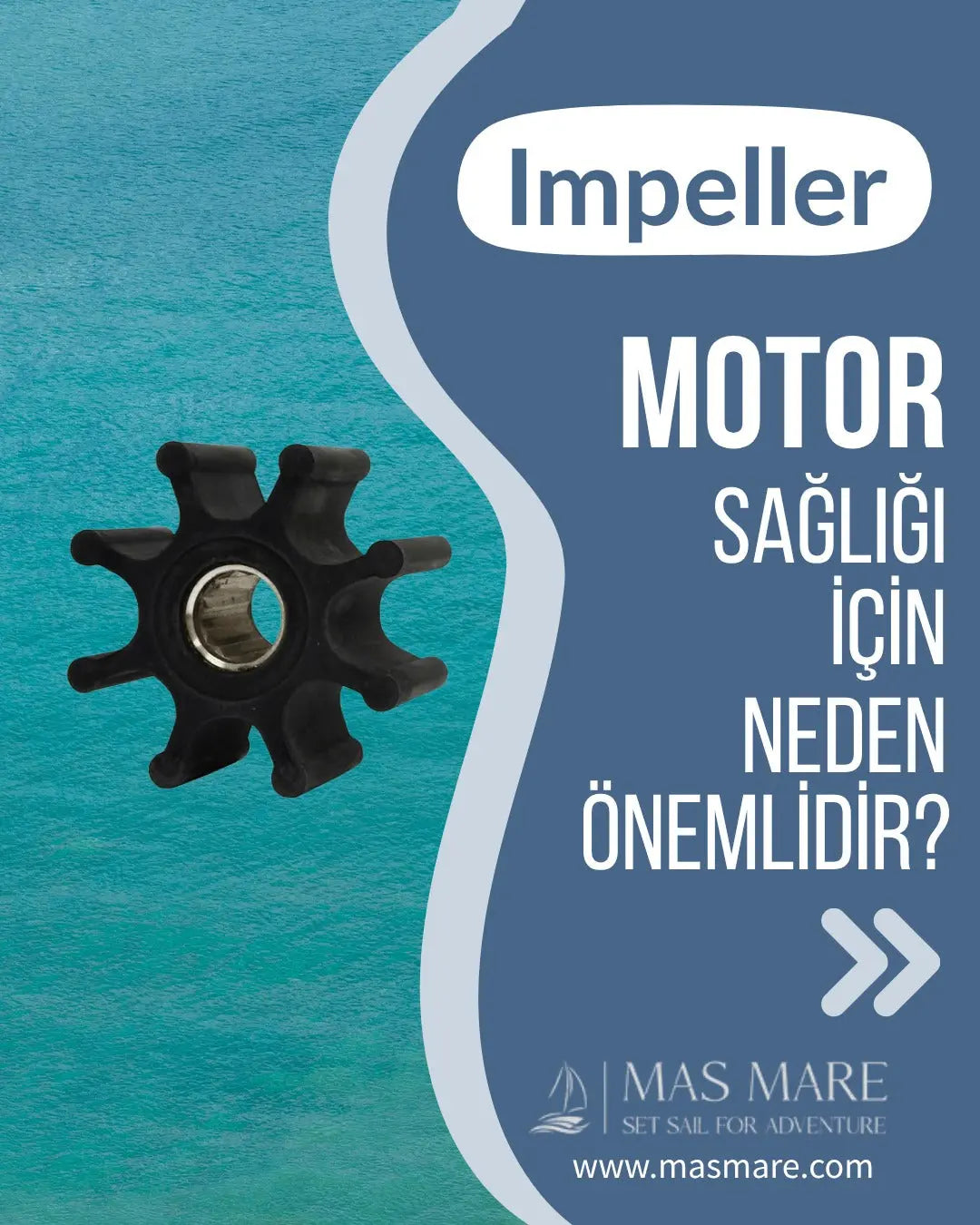 Motor-Sağlığınızın-Koruyucusu Mas Mare