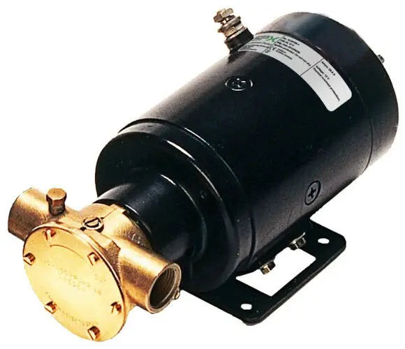 F5B-19 12V IMPELLER PUMP 3/4'' BSP SPX JOHNSON PUMP