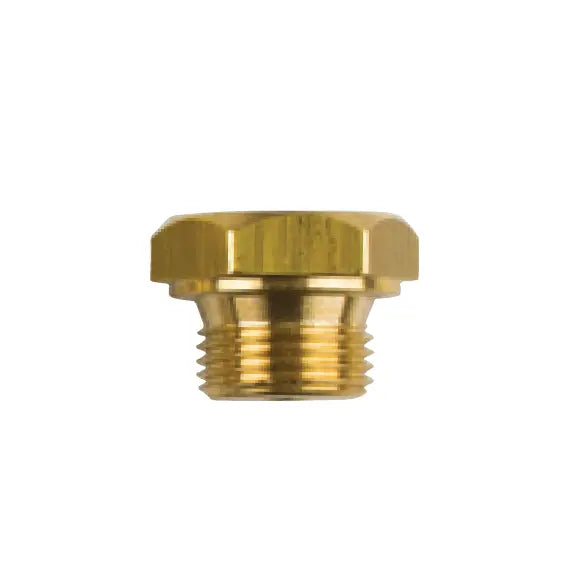 GENERAL MOTOR TAPA th. 3/8''Bspt (2027TP İLE AYNI) TECNOSEAL
