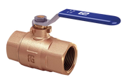 KÜRESEL VANA 2''1/2 RINA SERTİFİKALI BRONZ GUIDI