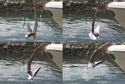 Ultra UFS6 Paslanmaz Fırdöndü ULTRA MARINE
