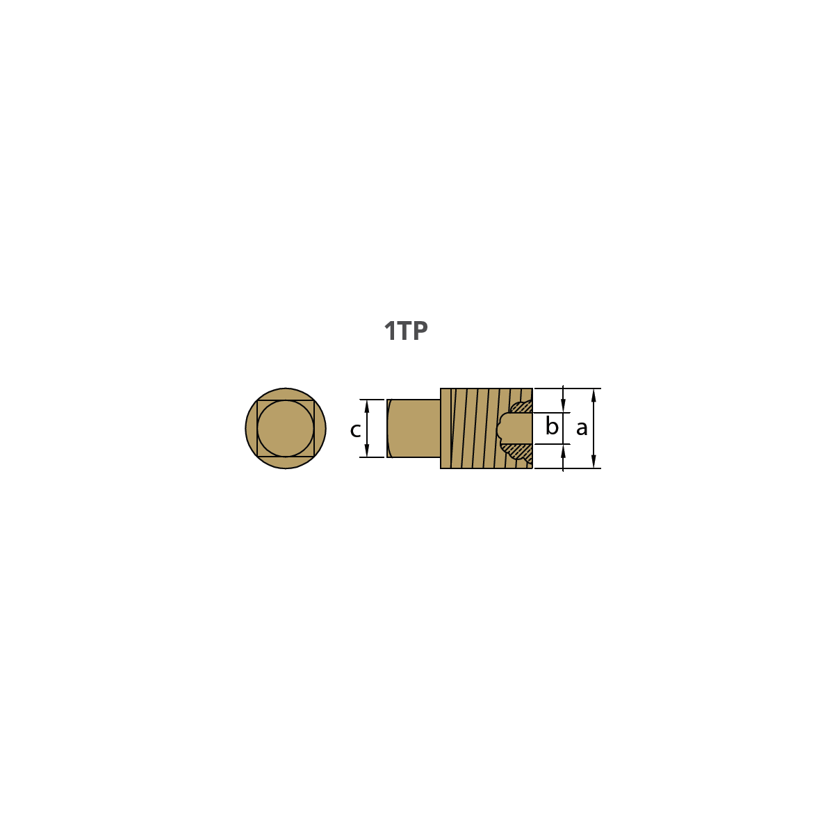 VOLVO PENTA DİŞİ TAPA th.1/2'' Bspt TECNOSEAL